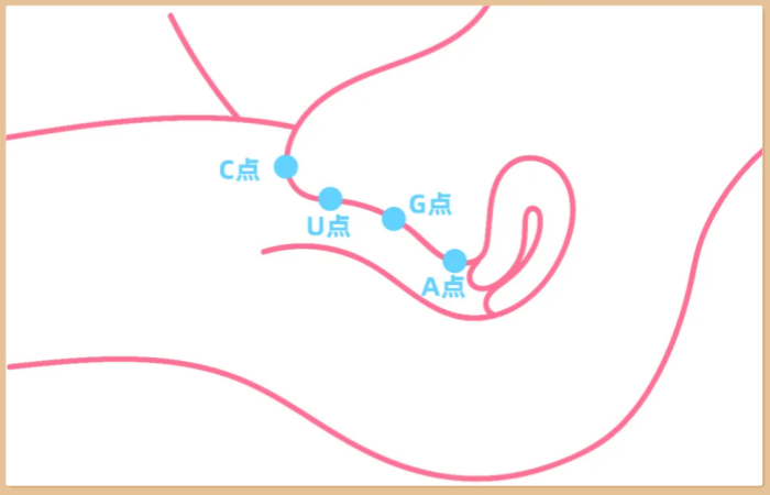 女生G+C点糕潮到底有多爽，附《实操指南》