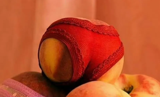 后入式到底舒服在哪？我要在背后进入你的身体