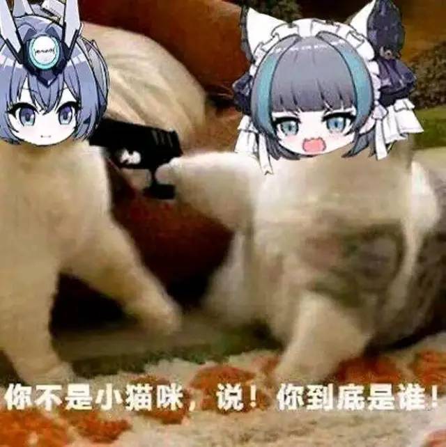 来月经时更容易高潮吗?