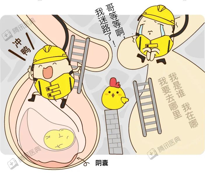 男生的蛋蛋最怕什么？你的蛋蛋还好吗