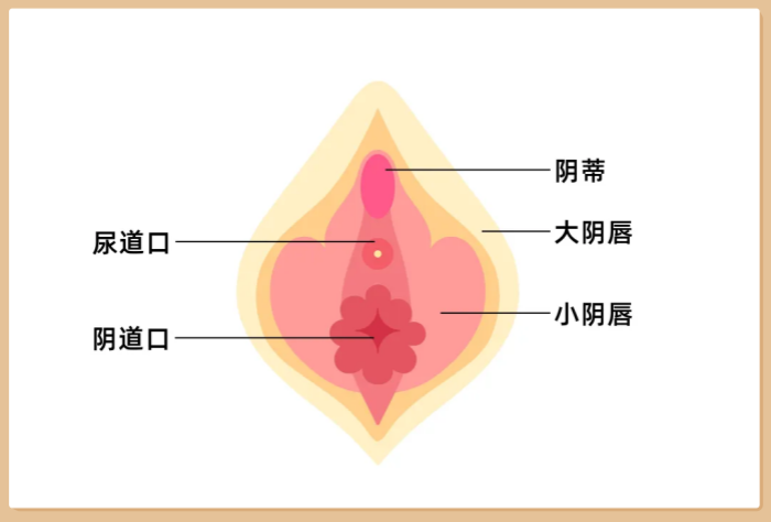 女生G+C点糕潮到底有多爽，附《实操指南》