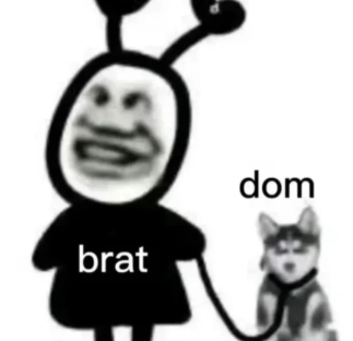 这是让小brat驯服的玩法说明