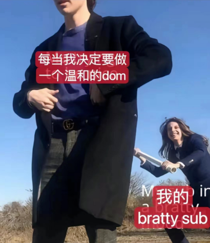 这是让小brat驯服的玩法说明