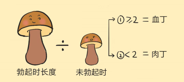 血丁丁和肉丁丁,到底哪个更强