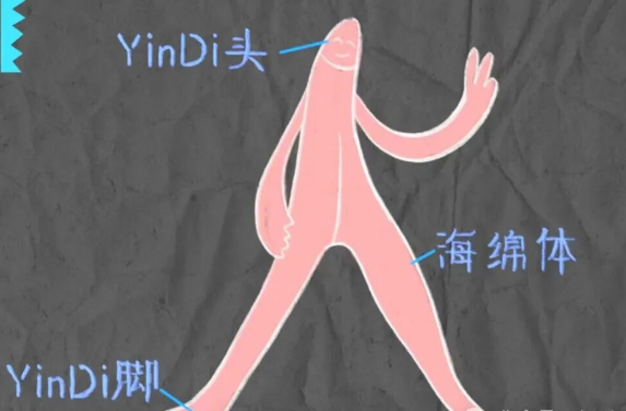 我的豆豆在哪里?怎么揉豆豆