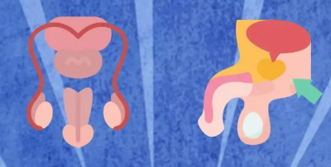 有个特别会夹会放的女票是什么感受