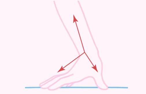 如何成为一名优秀女骑士？爱爱姿势女上位进阶指南