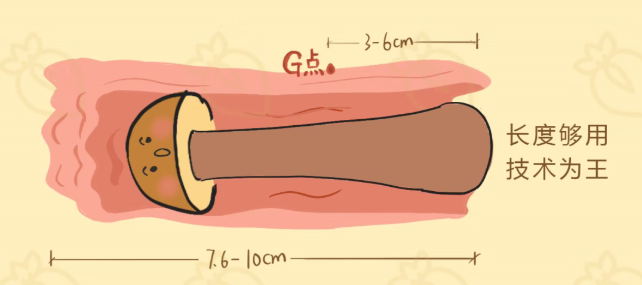 完美丁丁长什么样?满足你就赢了!