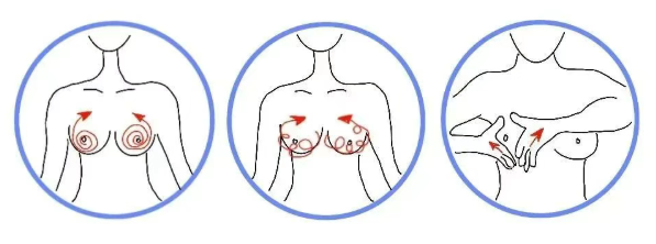如何成为胸部爱抚大师？胸部爱抚技巧
