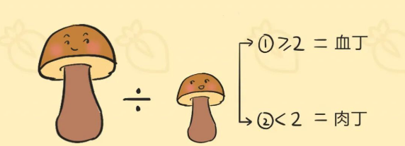 完美丁丁长什么样?满足你就赢了!