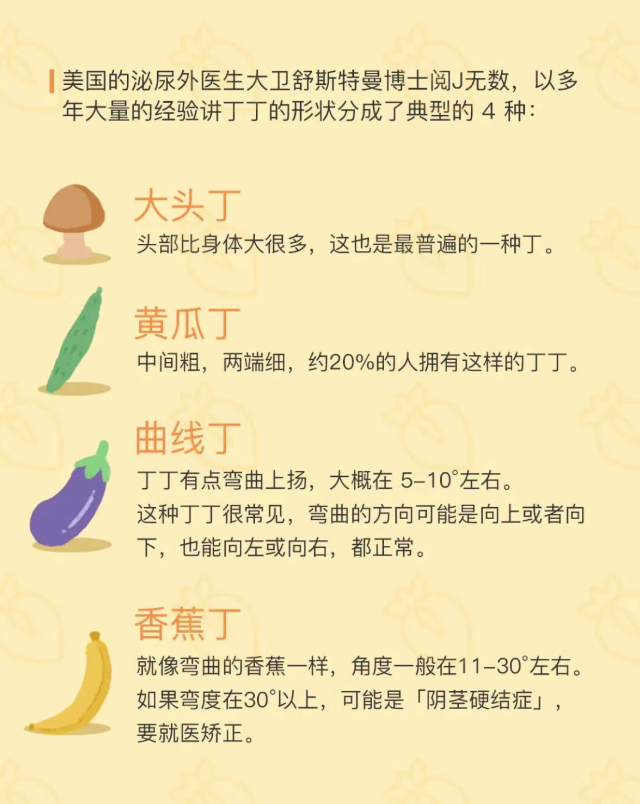 完美丁丁长什么样?满足你就赢了!