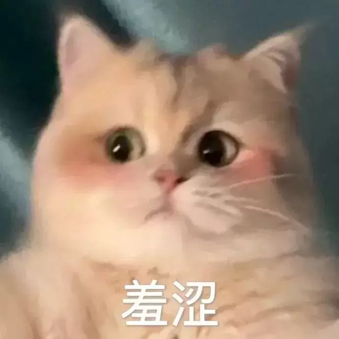 从未有过的撞击感——圣女软kao PLUS