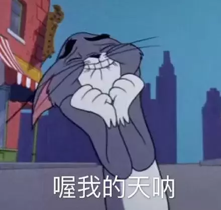 圣女软kao PLUS是你梦寐以求的那款吗
