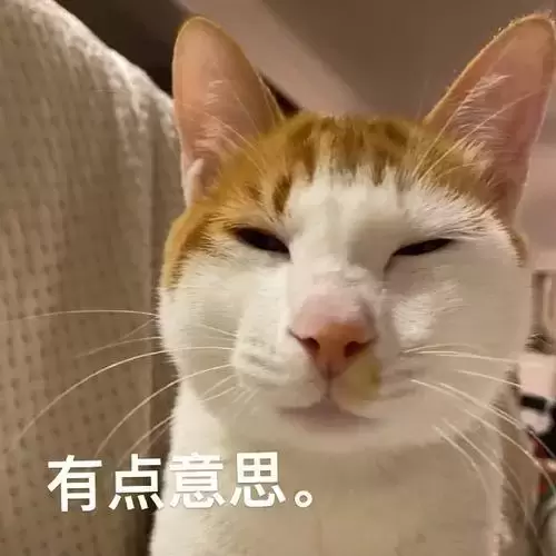 超级重量级的圣女软kaoPLUS来了！