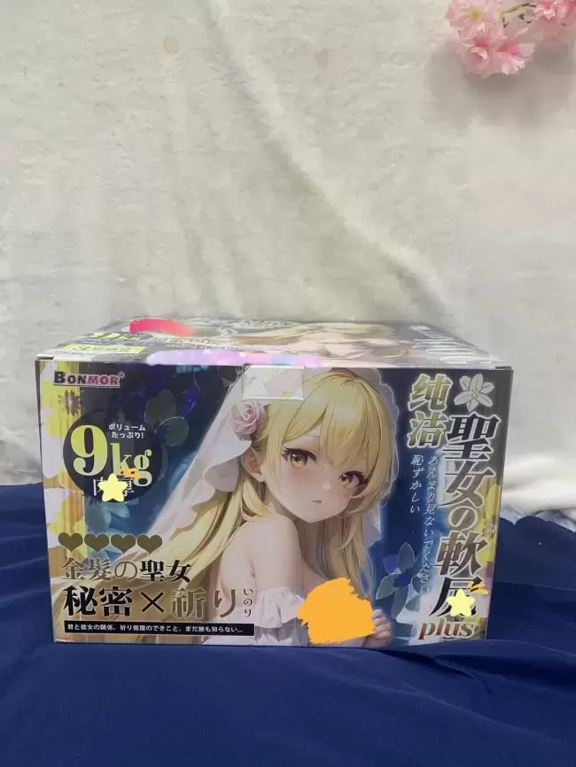 你的幸福从圣女软kao PLUS开始