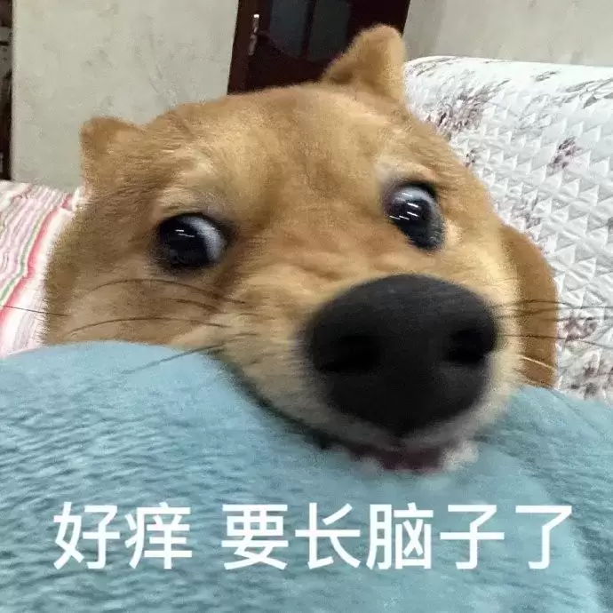 超级重量级的圣女软kaoPLUS来了！