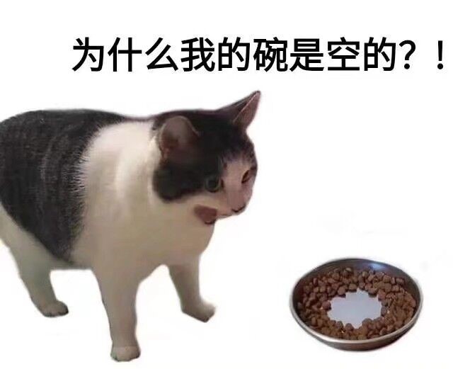 YUU极上双穴940克双通道飞机杯名器评测 - 丰满半身勾造 - 懂杯帝评测网