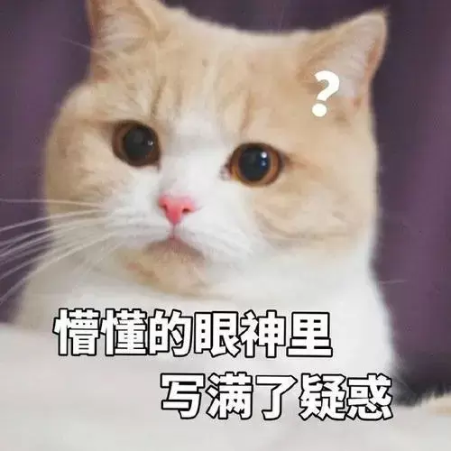 【科普】刺激和慢玩的区别是什么?如何分辨? - 懂杯帝评测网
