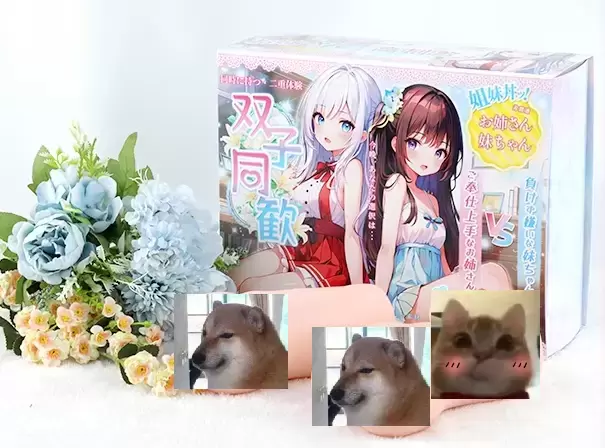 高质量男性用高质量双子同欢 - 懂杯帝评测网