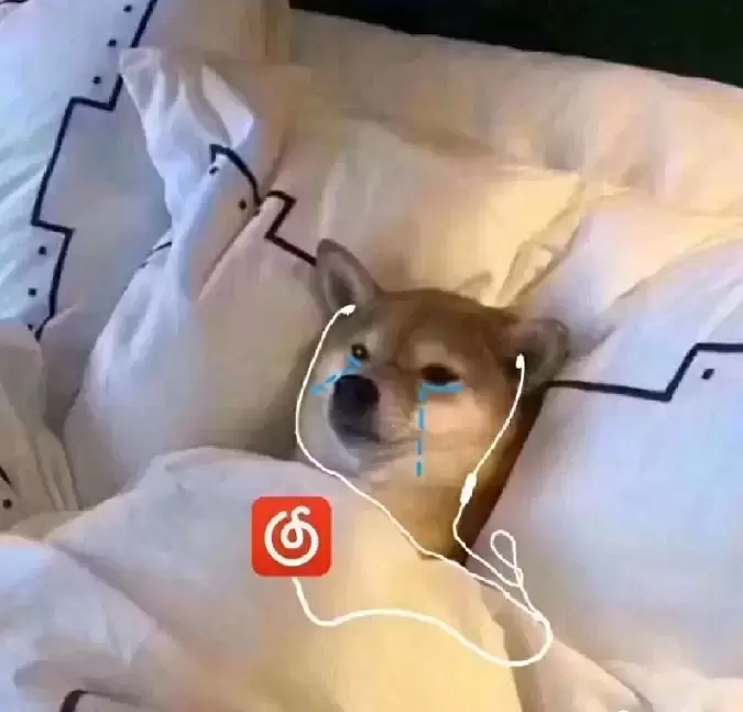 双子搭配,快乐加倍-双子同欢 - 懂杯帝评测网