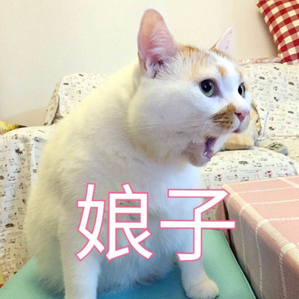 YUU极上双穴飞机杯名器评测 - “这样的女朋友,你喜欢吗” - 懂杯帝评测网