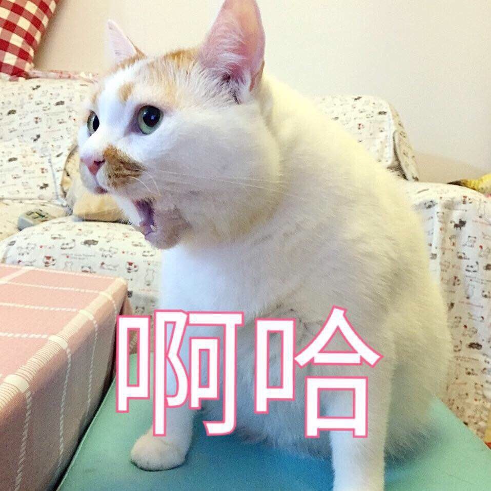 YUU极上双穴飞机杯名器评测 – “这样的女朋友,你喜欢吗”